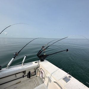 IMG_6695.jpeg