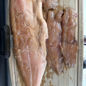 IMG_6736.jpeg