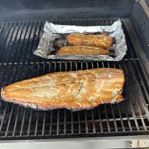 IMG_6743.jpeg