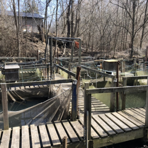 Lake Erie Salmon and Trout Hatchery1.png