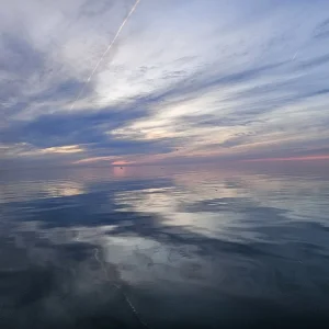 20240410_195511.jpg