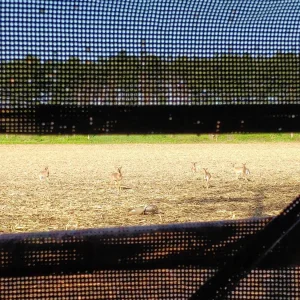 20240504_081223.jpg