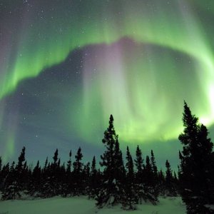 Aurora Borealis Northern Lights near Yellowknife.jpg