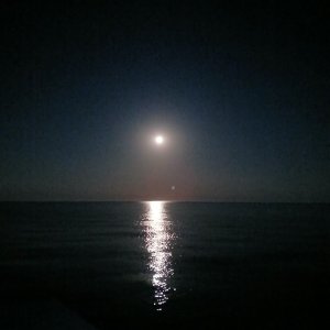 Full moon over Lake Erie At Pt Bruce May 24 2024 (1).jpg