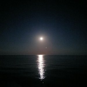 Full moon over Lake Erie At Pt Bruce May 24 2024 (2).jpg