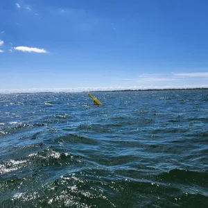 20240608_105624.jpg