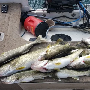 some of friday catch.jpg