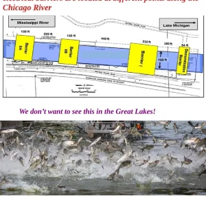 Chicago Sanitary and Ship Canal.jpg