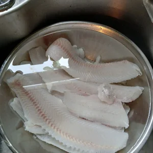 First trip out with Tailfeathers 2024 full catch plus what I brought home (4).jpg