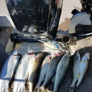 sunday fish.jpg
