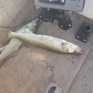 small doubles.jpg