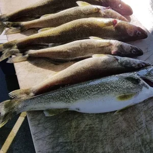 friday Fish.jpg
