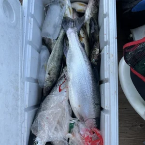 fishy20241.jpg