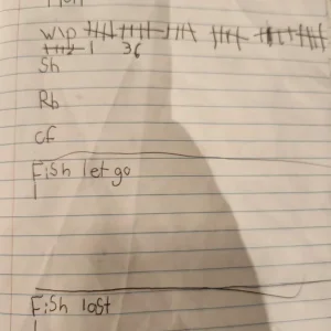 1721753232908.png