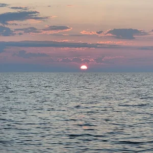 20240825_064640[1].jpg