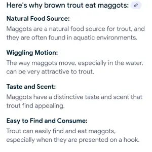 Screenshot_20250429-105342_Google.webp