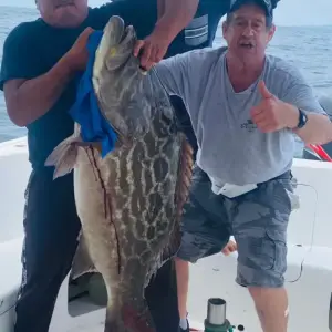Screenshot_20250503_134226_Gallery.webp