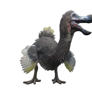 1747682742933.webp