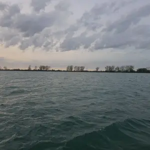 Media '79087078-744a-4f53-9f55-2db544fb4c72.webp' in category 'Fishing Gallery'