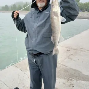 Media '20250609_092111.webp' in category 'Fishing Gallery'