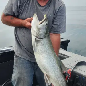 Media '20250612_122808.webp' in category 'Fishing Gallery'