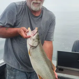 Media '20250612_101347.webp' in category 'Fishing Gallery'
