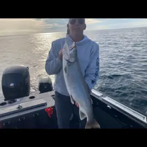 Media 'Screenshot_20250617_213209_Gallery.webp' in category 'Fishing Gallery'