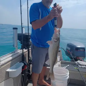 Media '20250617_122544.webp' in category 'Fishing Gallery'