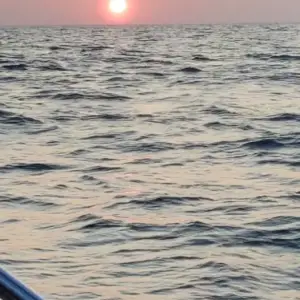 Media 'Friday Sunrise.webp' in category 'Fishing Gallery'