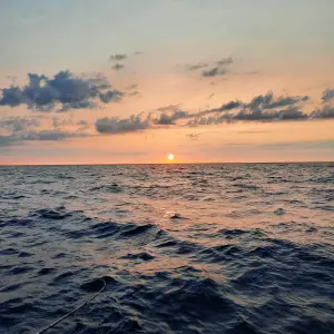 20250704_060550.webp