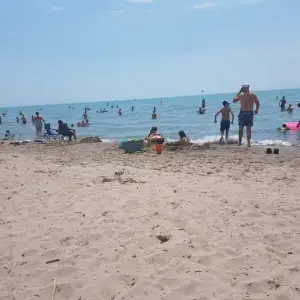 swimming.webp
