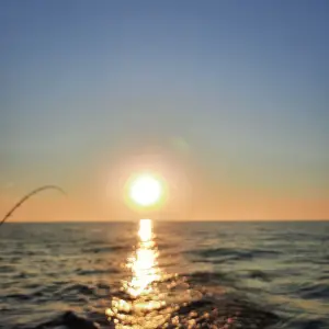 20250705_063140.webp