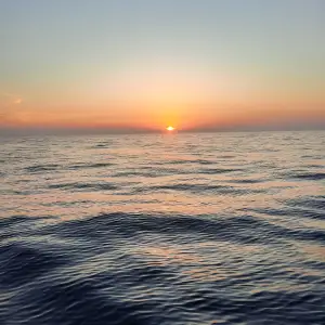 20250705_060458.webp