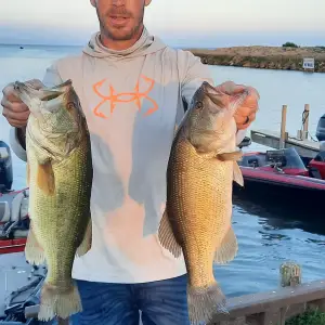 Media '20250708_203457.webp' in category 'Fishing Gallery'