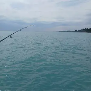 Media 'July 9 2025.webp' in category 'Fishing Gallery'