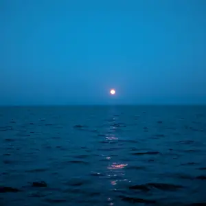 1000008197.webp