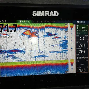 Media '20250730_201107.webp' in category 'Fishing Gallery'