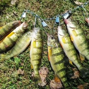 20180929_125120_HDR.jpg