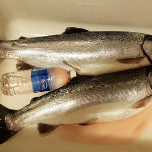 20201108_193302.jpg