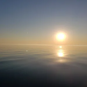 20201108_162052.jpg