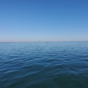20201108_130144.jpg