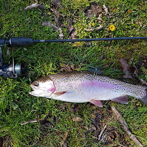 April 24 2021 Opener day Trout 024.jpg