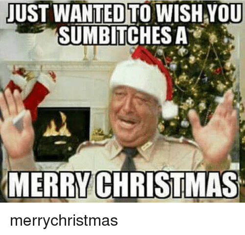 just-wanted-to-wish-you-sumbitches-a-merry-christmas-merrychristmas-9994300.png