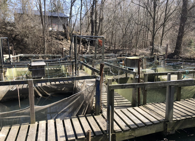 Lake Erie Salmon and Trout Hatchery1.png