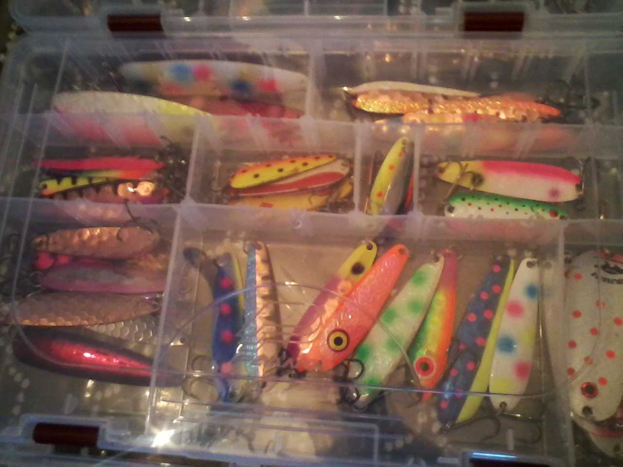 New tackle Box and what's in it (4).jpg