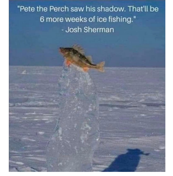 PETE THE PERCH.png
