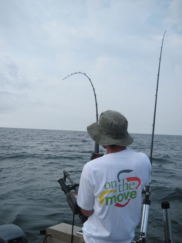 IMG_0582.jpg