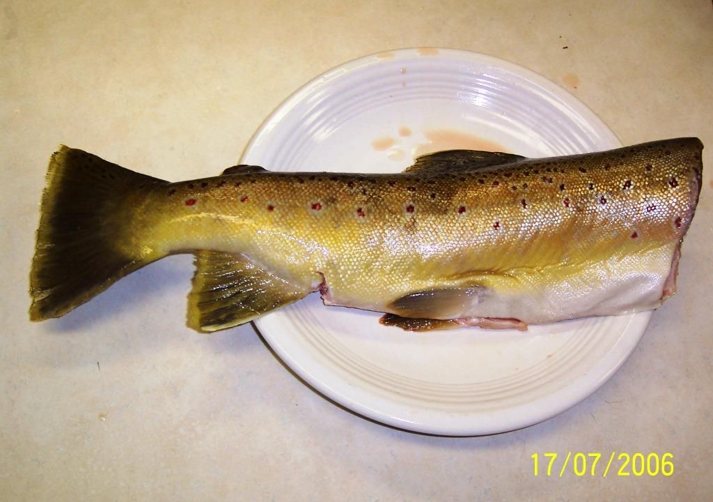 HuntingampFishing135.jpg