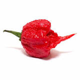 Image result for hot peppers list