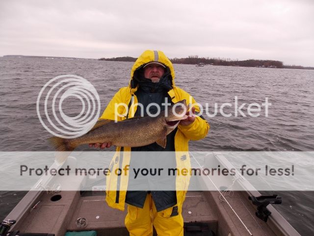 Fishing Report - Quinte Walleye Report